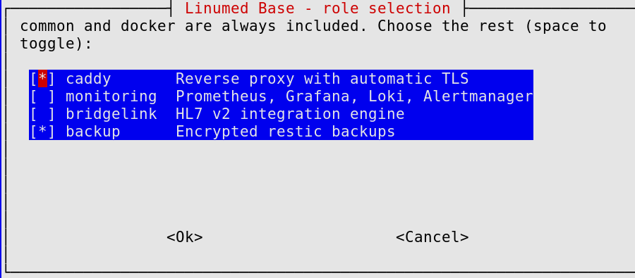 Role-selection checklist: caddy and backup checked, monitoring and bridgelink unchecked, run from a terminal.